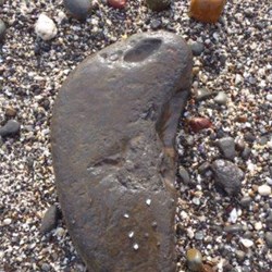 Happy Walk by the beach