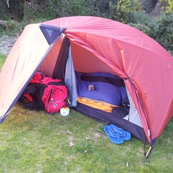 Magda, The Happy Walk mascot, in the new digs