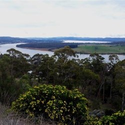 Tamar River from Brady's Lookout