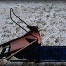 Beautiful old world artefacts on station ruins