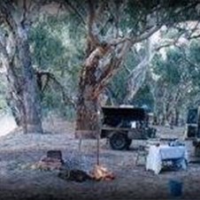 Campsite along Darling River at Kinchega NP