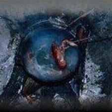 Perfectly cooked yabbies in the camp oven 