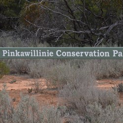 Entering the Conservation Park