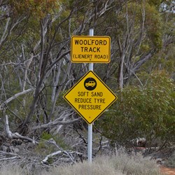 Not long before the Buckleboo Stock Route