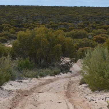 It might not look steep, but it takes more than one go to get over