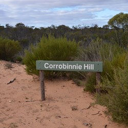 At the End of the Buckleboo Stock Route