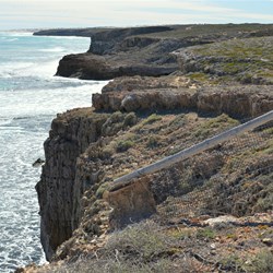 The end of the Dog Fence