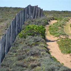 Track conditions heading to the Coast