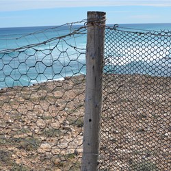 Two types of netting on the Dog Fence