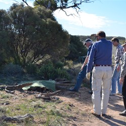 We used this tarp to limit the stress on the young eagle