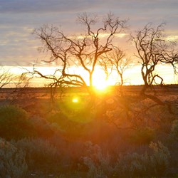 The Sun starting to set