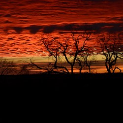 Changing colours on the Nullarbor