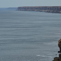 They go on as far as the eye can see