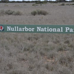 Entering the Nullarbor National Park