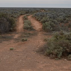 The Main Track to Watson