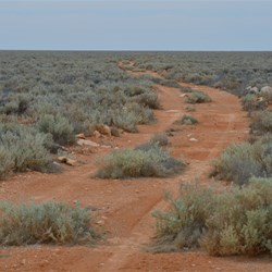 Still heading towards Watson