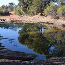 The Range Tour starts off at the dam where all of Maralinga's Water come from