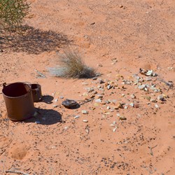 The actual site where Daisy Bates lived