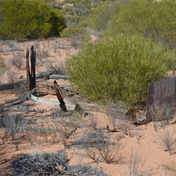 Old ruins at the Ooldea Soak site