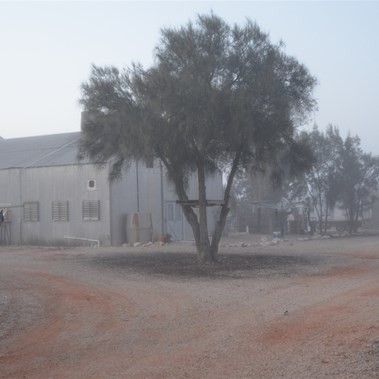 A fog covered Maralinga