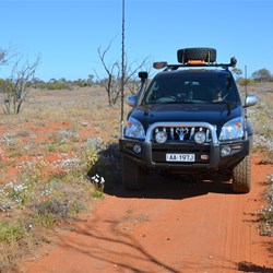 Wildflowers lined the track on our way to the Anne Beadell Highway