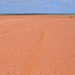 Emu Claypan Runway