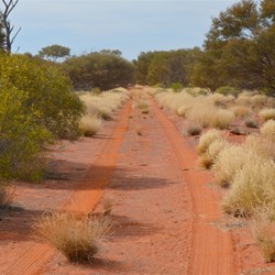 The track to the 300 Mile Marker