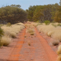 Still on the way to the 300 Mile Marker