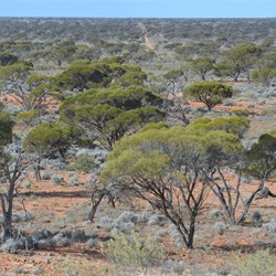 View from the Lookout out to the 2 Totem Sites