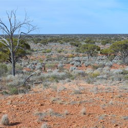 The Totem test were viewed from this Lookout