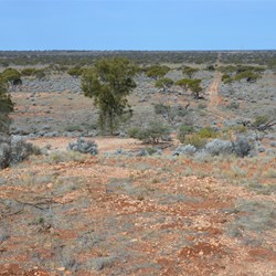 The view from the Lookout