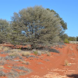 The Anne Beadell Highway