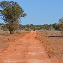 Ever changing scenery along the Anne Beadell Highway