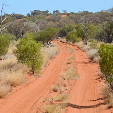 Anne Beadell Highway