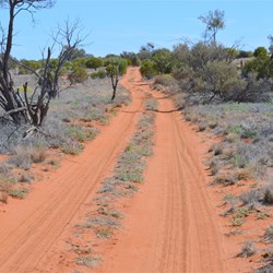 Anne Beadell Highway