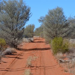 Anne Beadell Highway