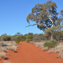 The further west you travel, they just get better