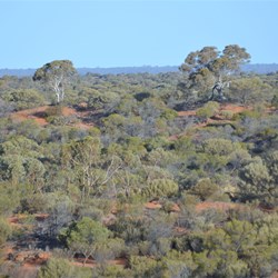 The view from the highest point in the area - Voakes Hill