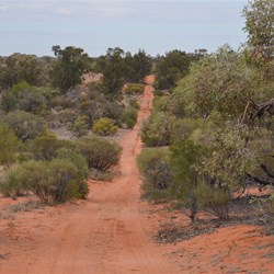 Heading down the Cook Track