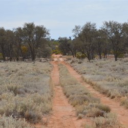 The Country is now starting to open up