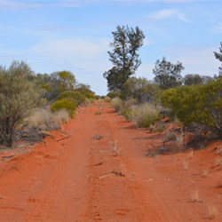 Changing scenery heading south on the Cook Track