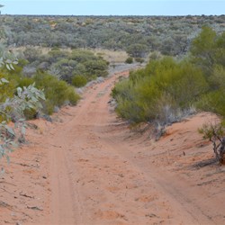 Back into sand dune country and Mallee