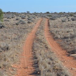 If we did not find a camp soon........