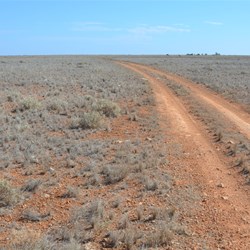 Ever changing vegetation