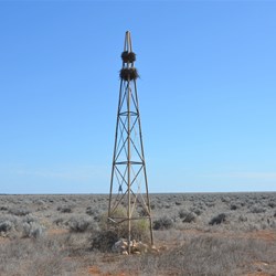 Even the birds have to use this man made Trig Towers to build their nests in