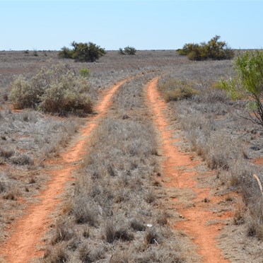 Time to leave the group and travel Solo on the Caravan Track