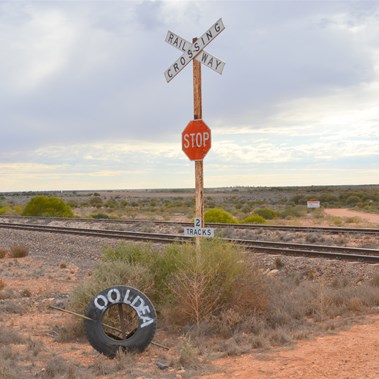 Back at the Ooldea Railway Siding