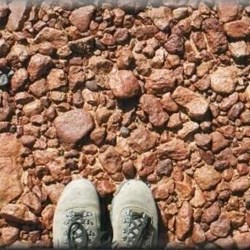 The gibbers are big out here