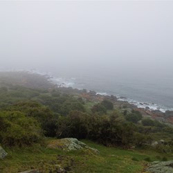 View from Low Head Lighthouse