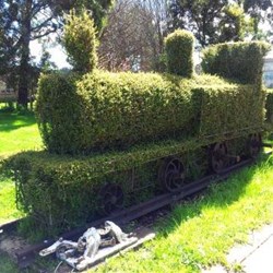 Topiary in Railton
